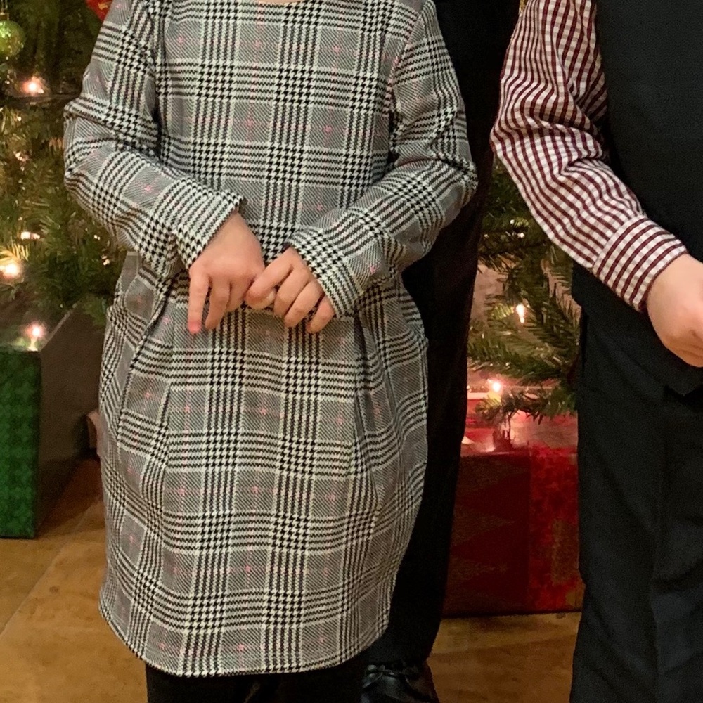 H&M Plaid Dress